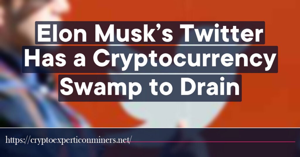 Cryptocurrency Swamp to Drain by Elon Musk’s Twitter
